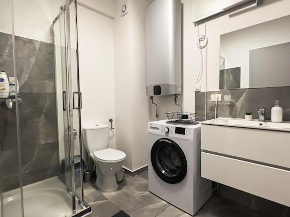 ביילה פליקס Apartament Ionut מראה חיצוני תמונה
