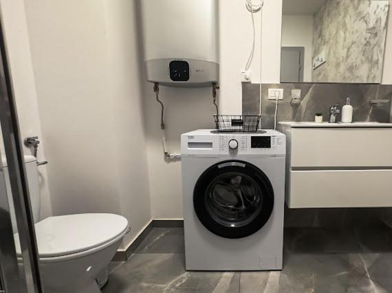 ביילה פליקס Apartament Ionut מראה חיצוני תמונה